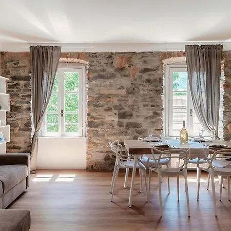 Apartment Daisy Flower - The House Of Travelers
